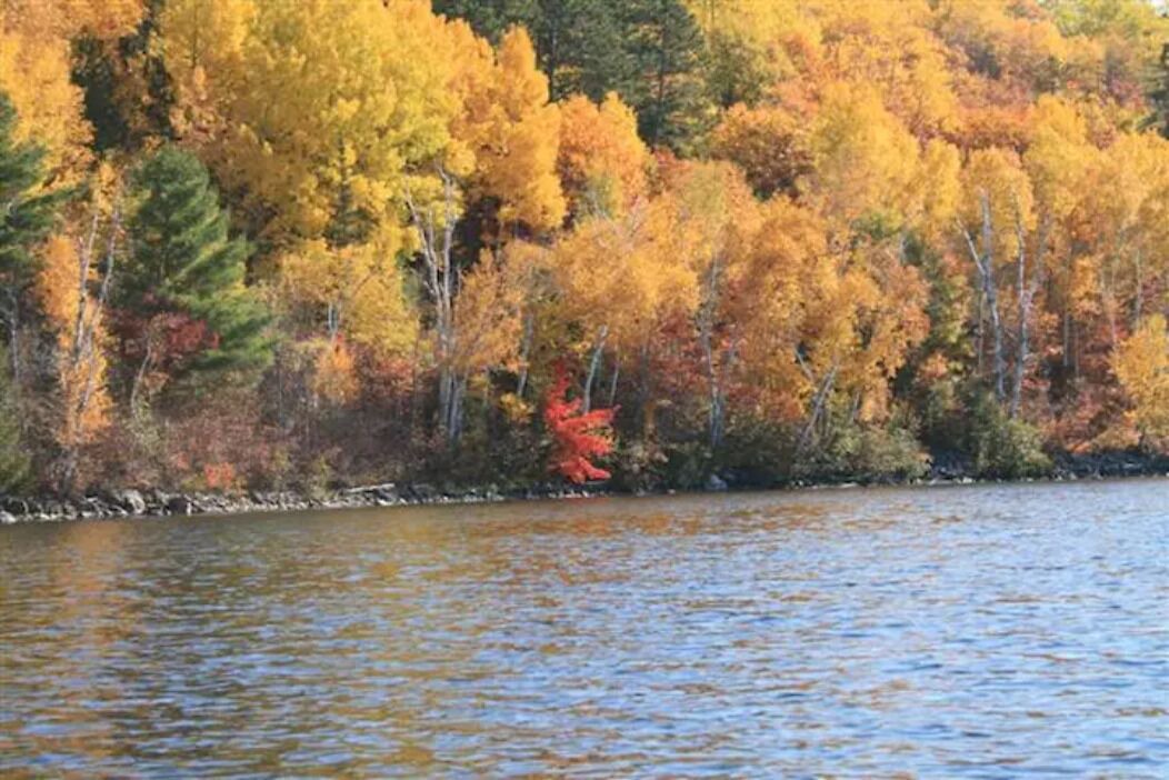 Photo of Others in Madawaska Valley