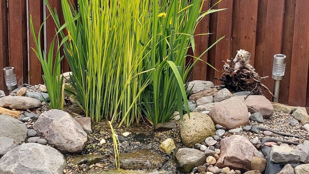 Photo of Outdoor in Brampton