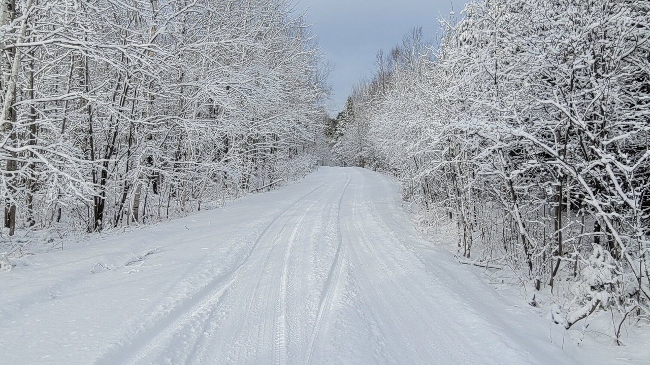 Photo of Others in Papineau-Cameron