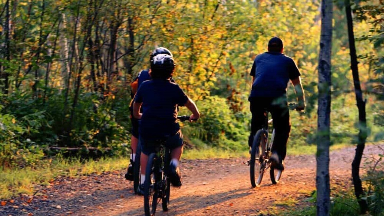 Photo of Outdoor in Papineau-Cameron