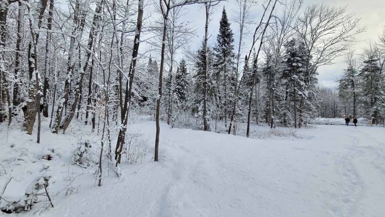 Photo of Others in Papineau-Cameron