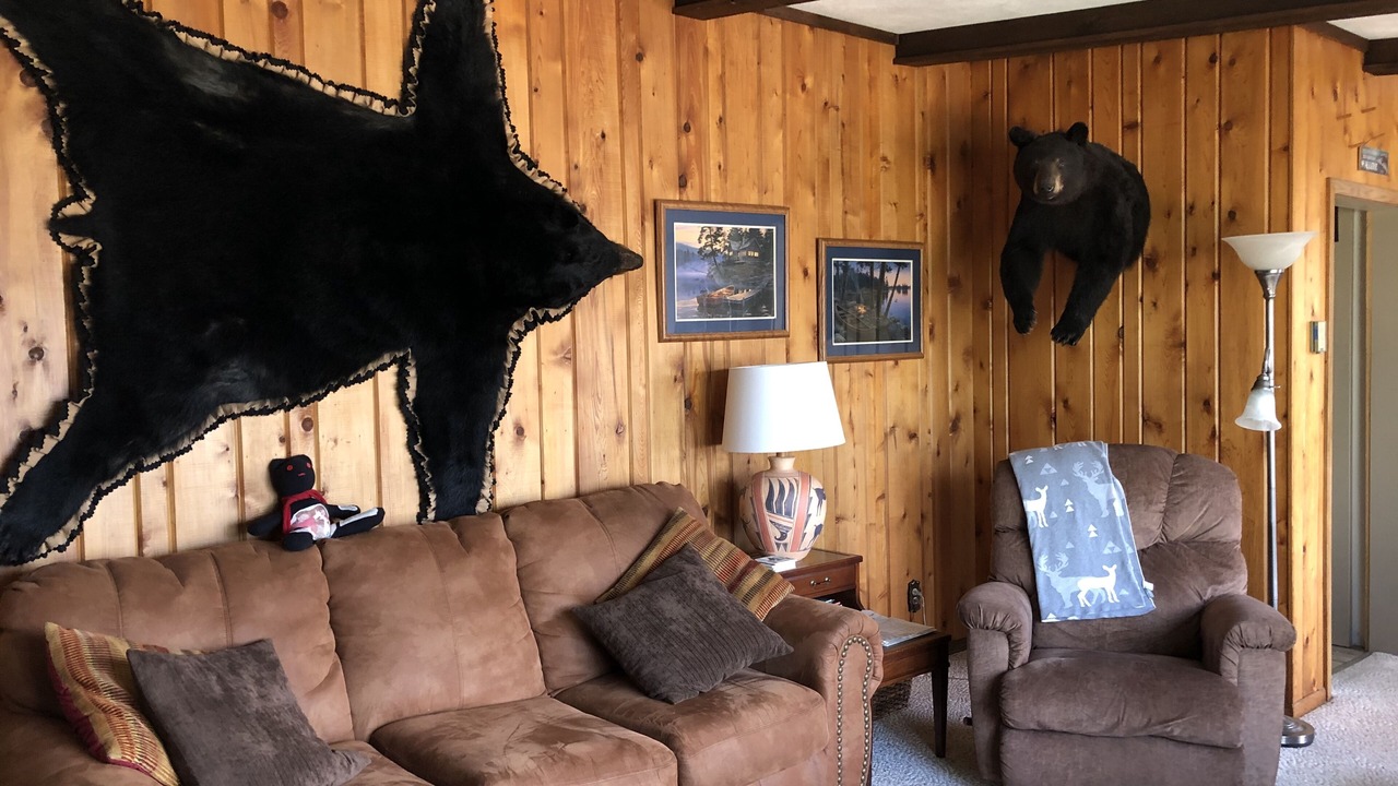 Photo of Livingroom in Bena