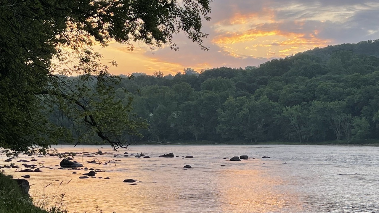 Photo of Others in Taylors Falls