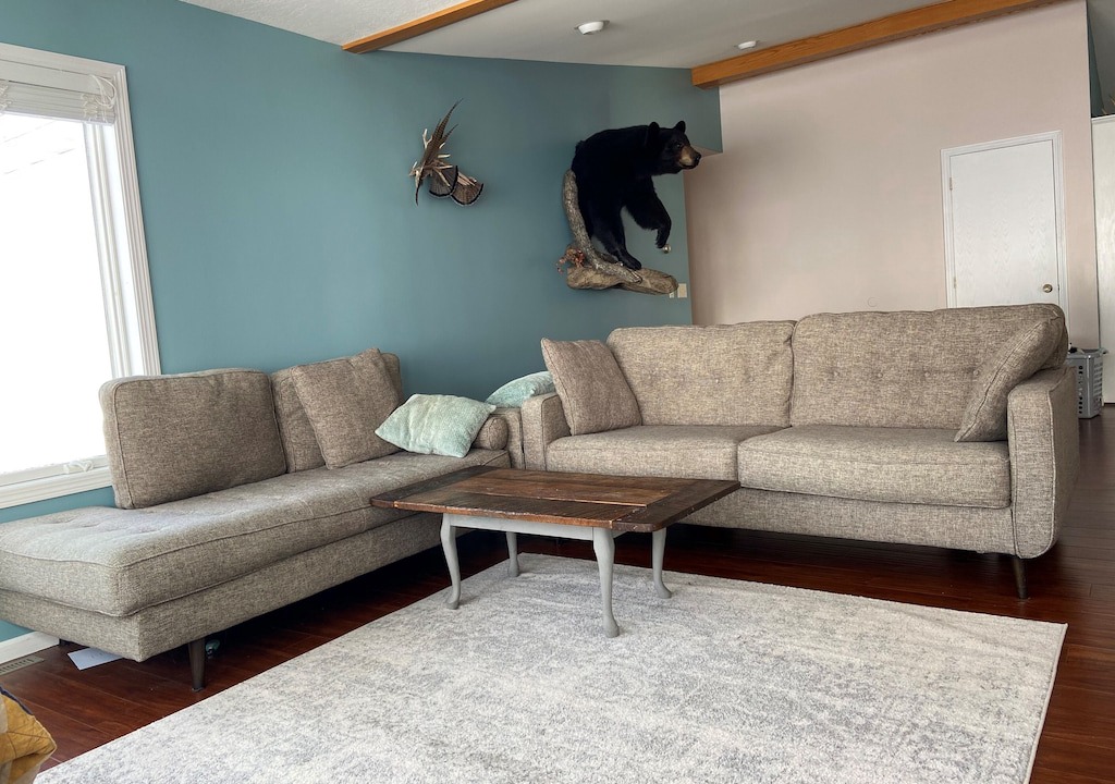 Photo of Livingroom in Perham