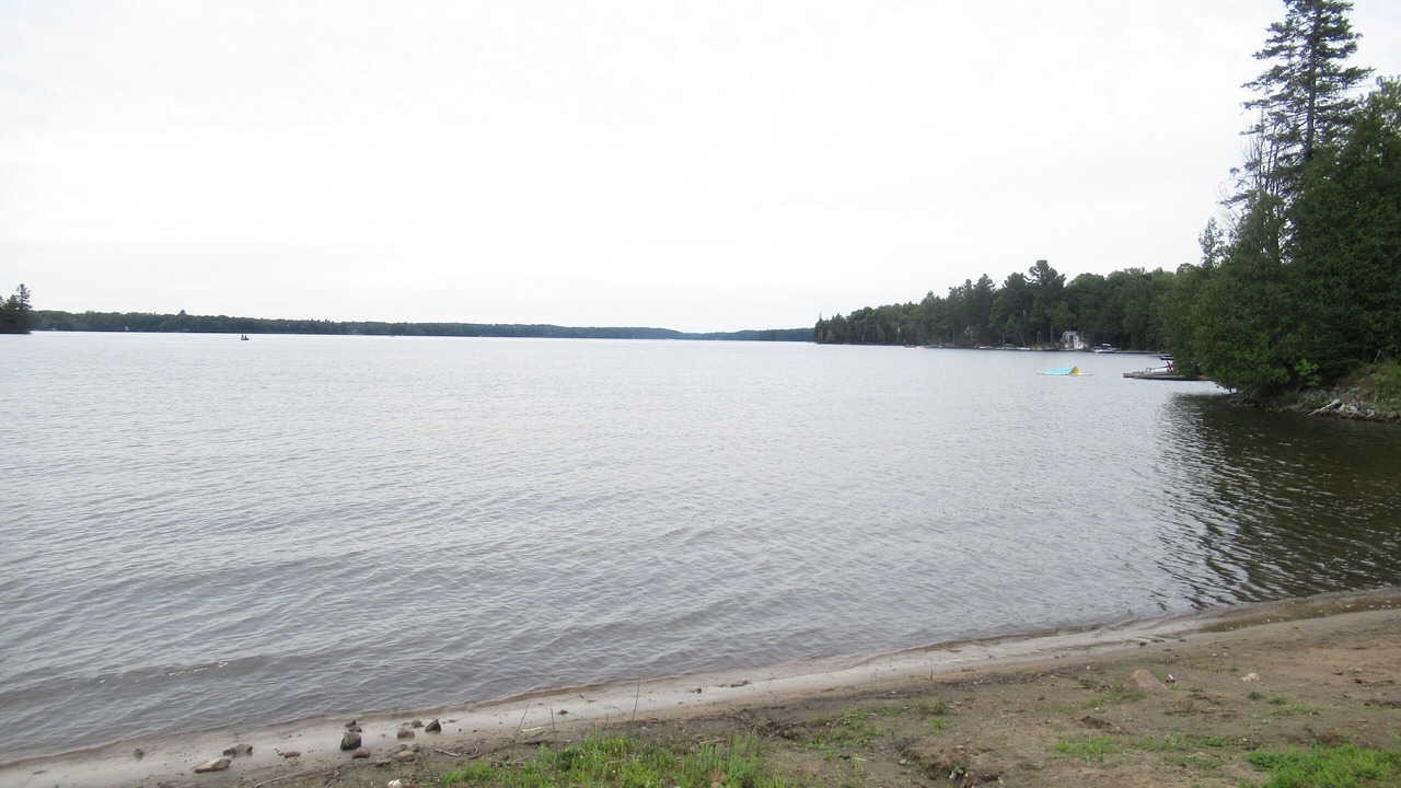 Photo of Others in North Kawartha