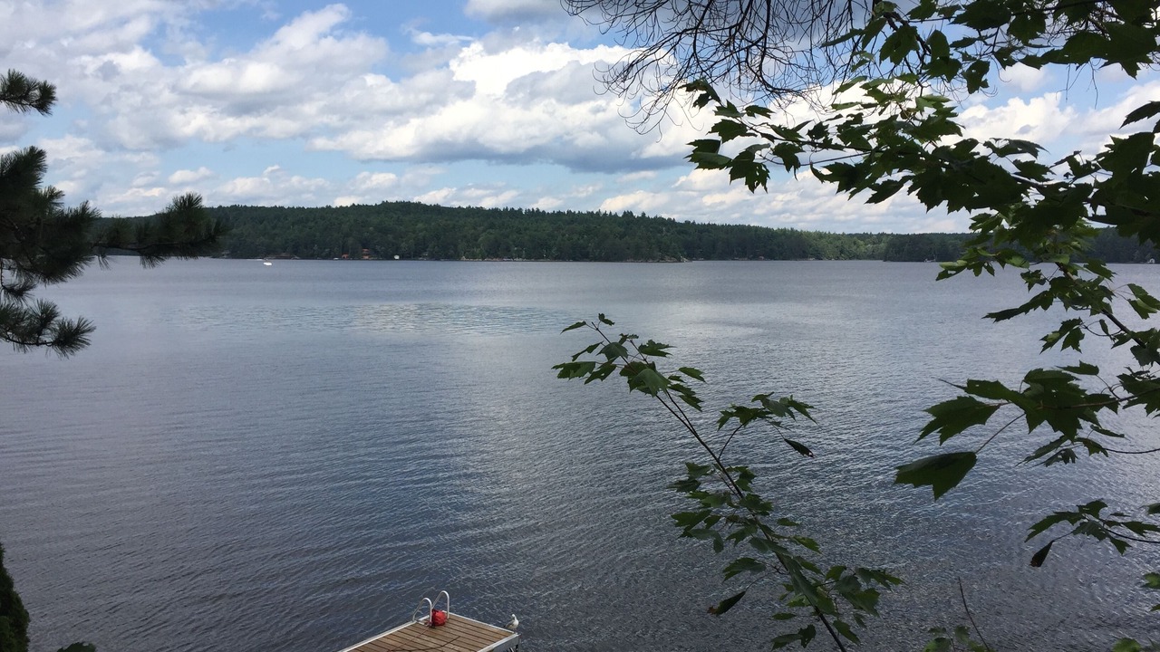 Photo of Outdoor in Addington Highlands