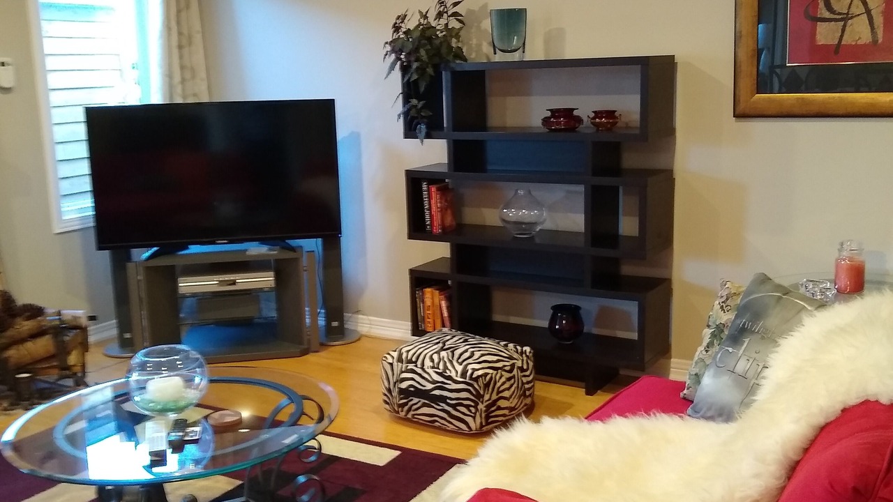 Photo of Livingroom in Rosemount