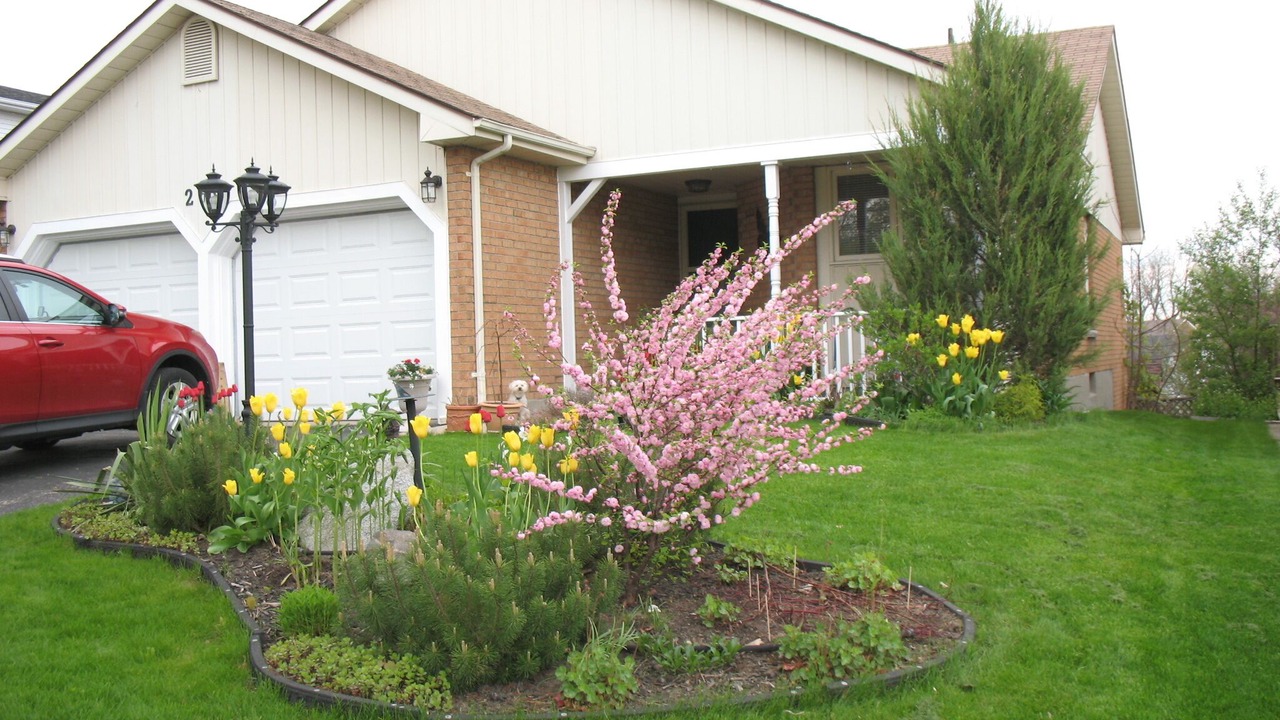 Photo of Outdoor in Rosemount