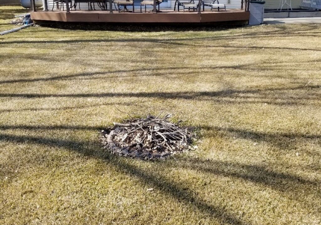 Photo of Outdoor in Farwell