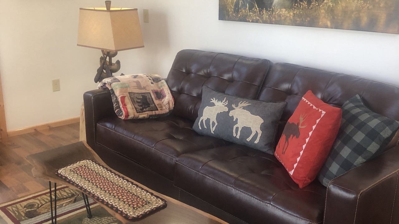 Photo of Livingroom in Ash River