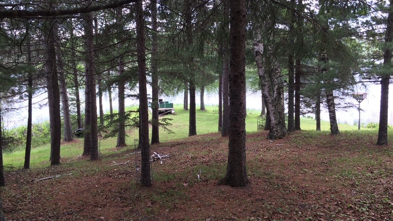 Photo of Outdoor in Bigfork