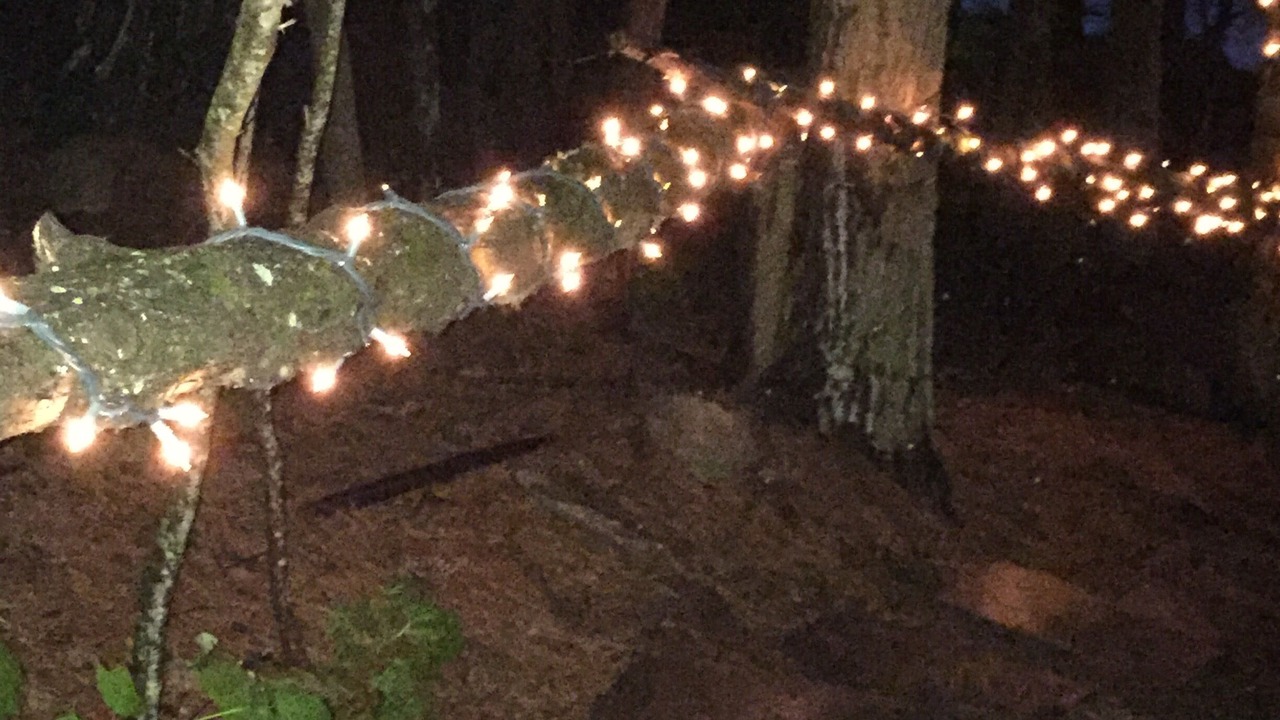 Photo of Outdoor in Algonquin Highlands