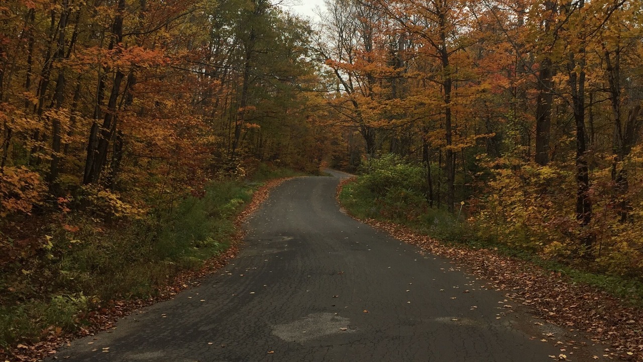 Photo of Outdoor in Algonquin Highlands