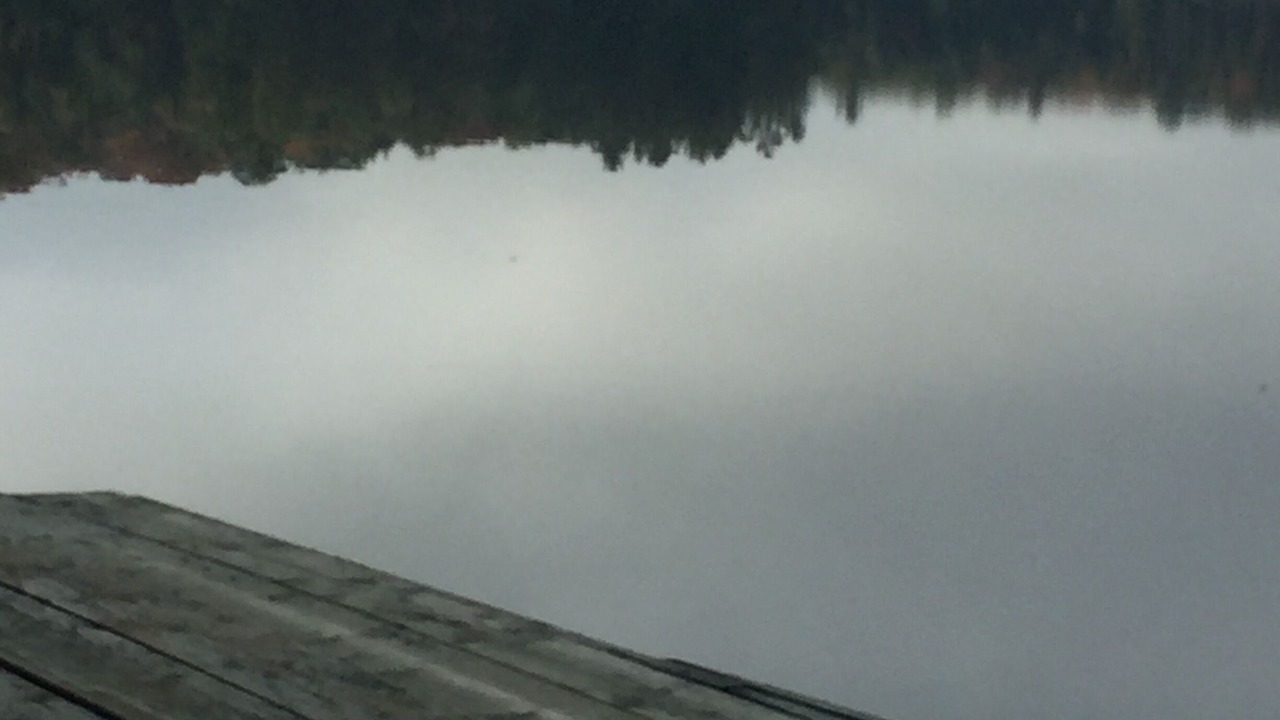 Photo of Outdoor in Algonquin Highlands