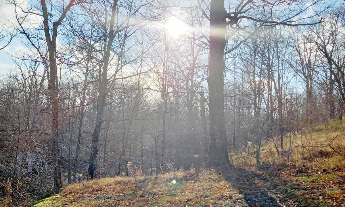 Photo of Others in Arden