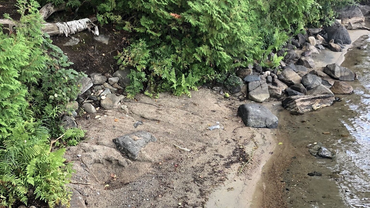 Photo of Outdoor in Marmora and Lake