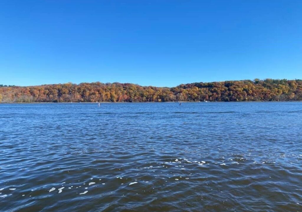 Photo of Others in Forest Lake