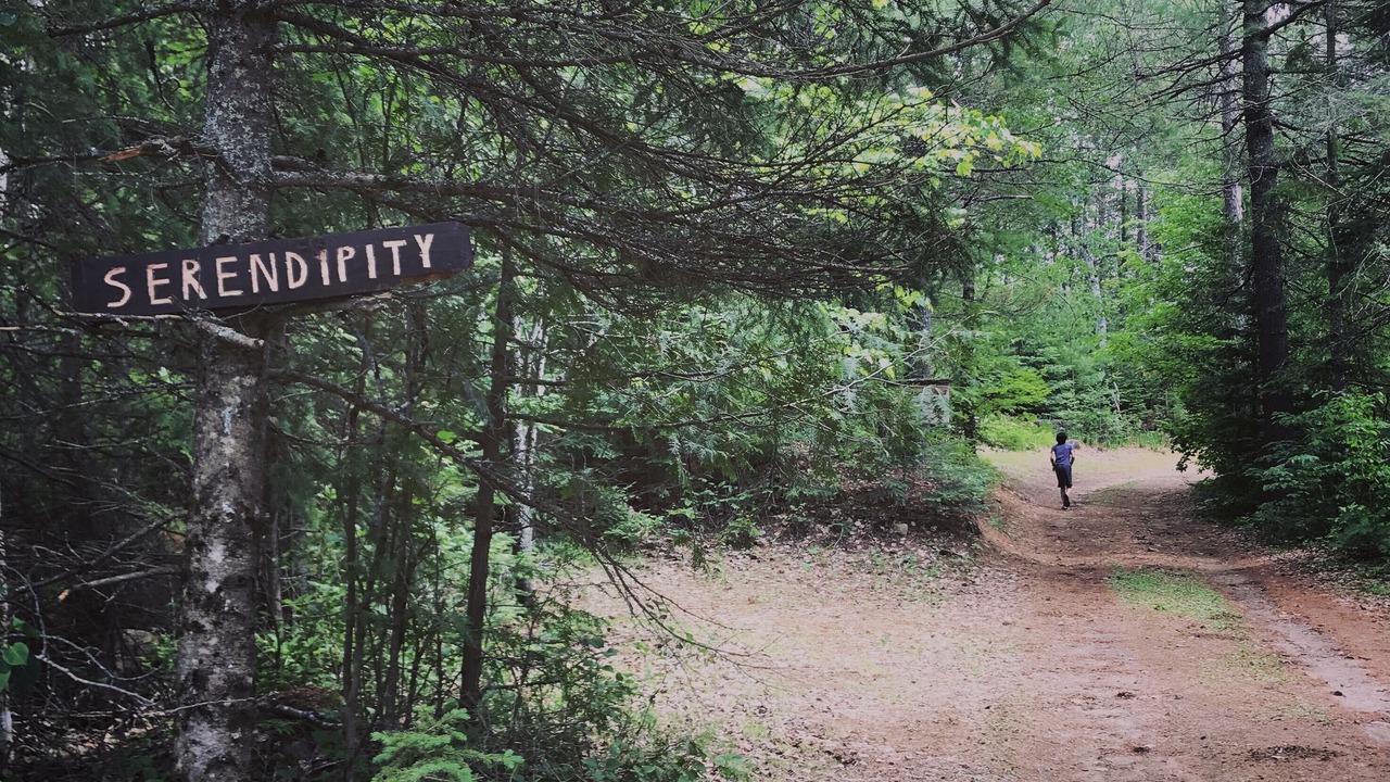 Photo of Others in Hastings Highlands
