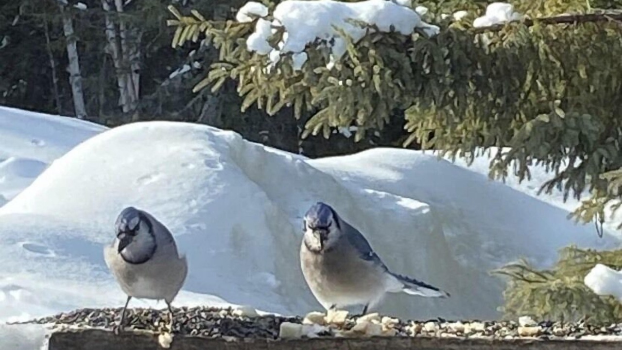 Photo of Outdoor in Northeastern Ontario