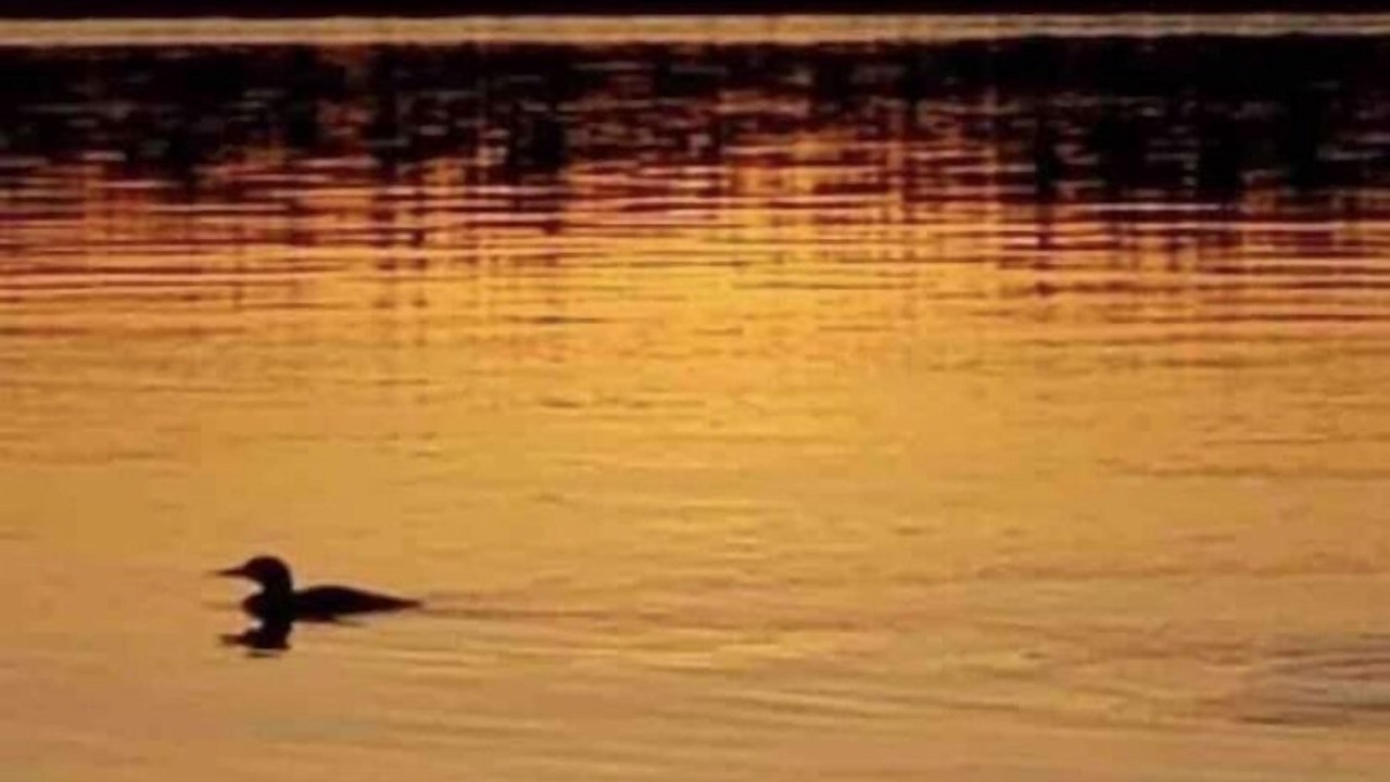 Photo of Others in Northeastern Ontario