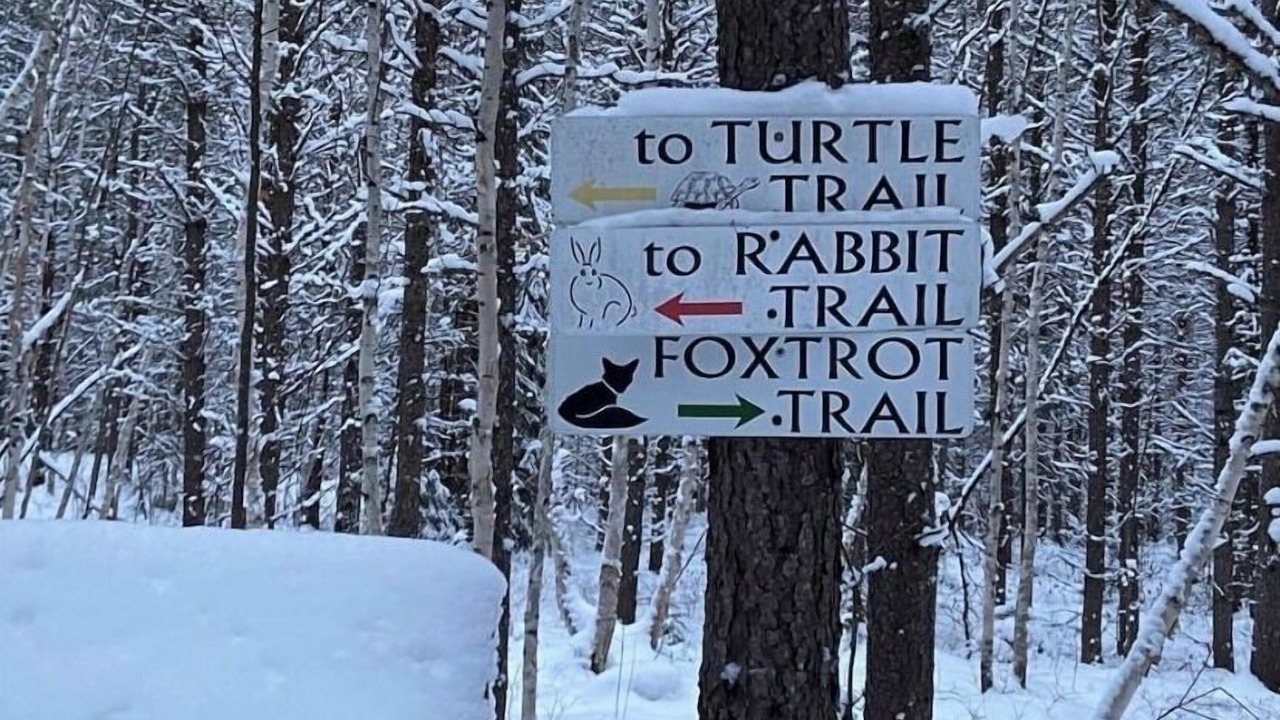 Photo of Outdoor in Northeastern Ontario