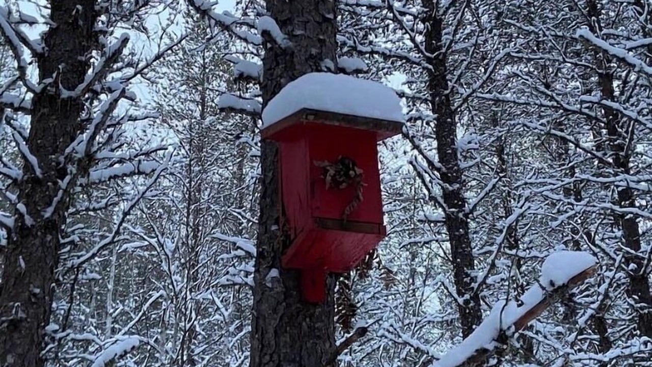 Photo of Others in Northeastern Ontario