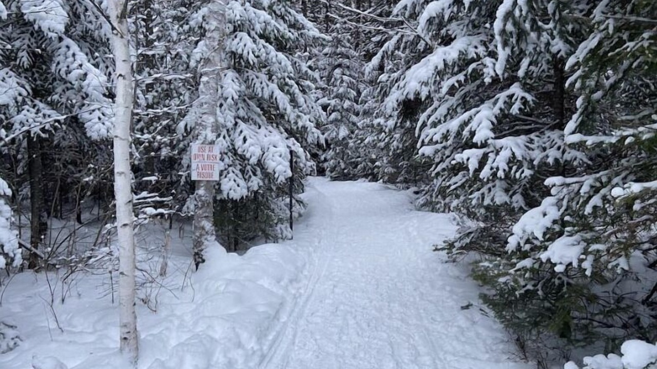 Photo of Others in Northeastern Ontario