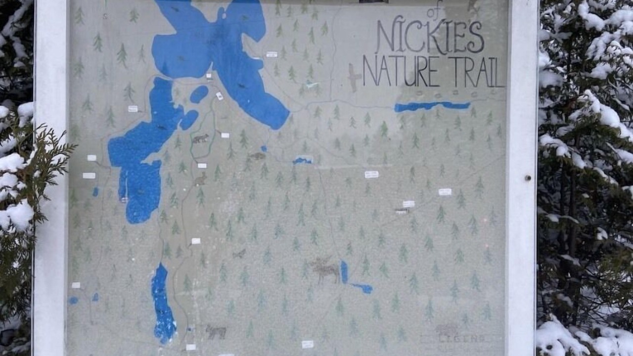 Photo of Others in Northeastern Ontario