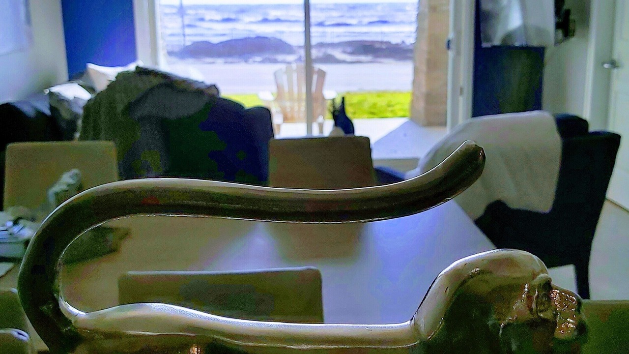 Photo of Others in Long Point