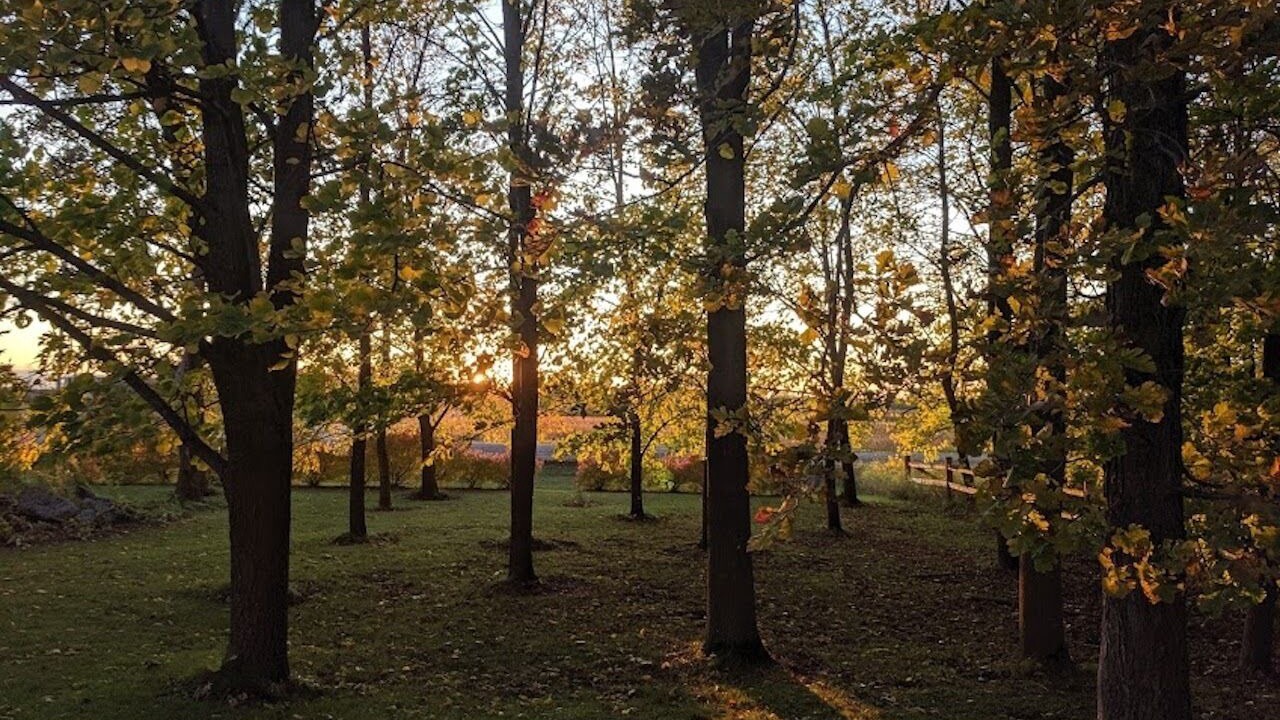 Photo of Outdoor in Erskine
