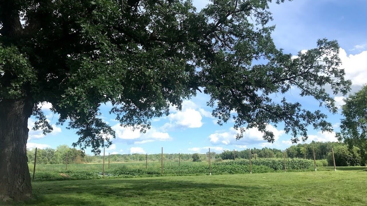 Photo of Outdoor in Erskine