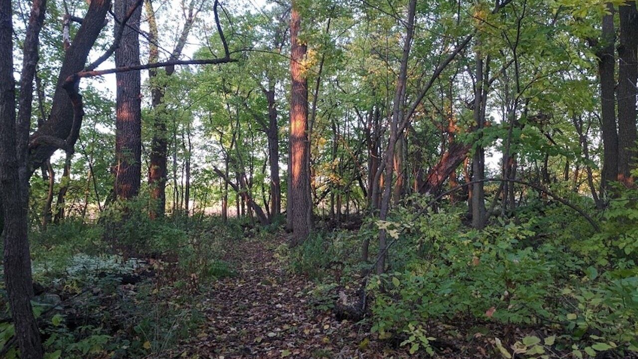 Photo of Outdoor in Erskine