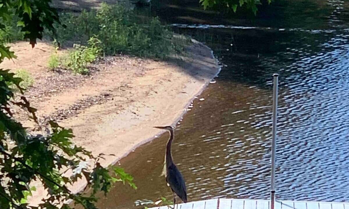 Photo of Others in Golden Lake