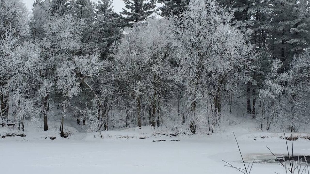 Photo of Others in Pine City