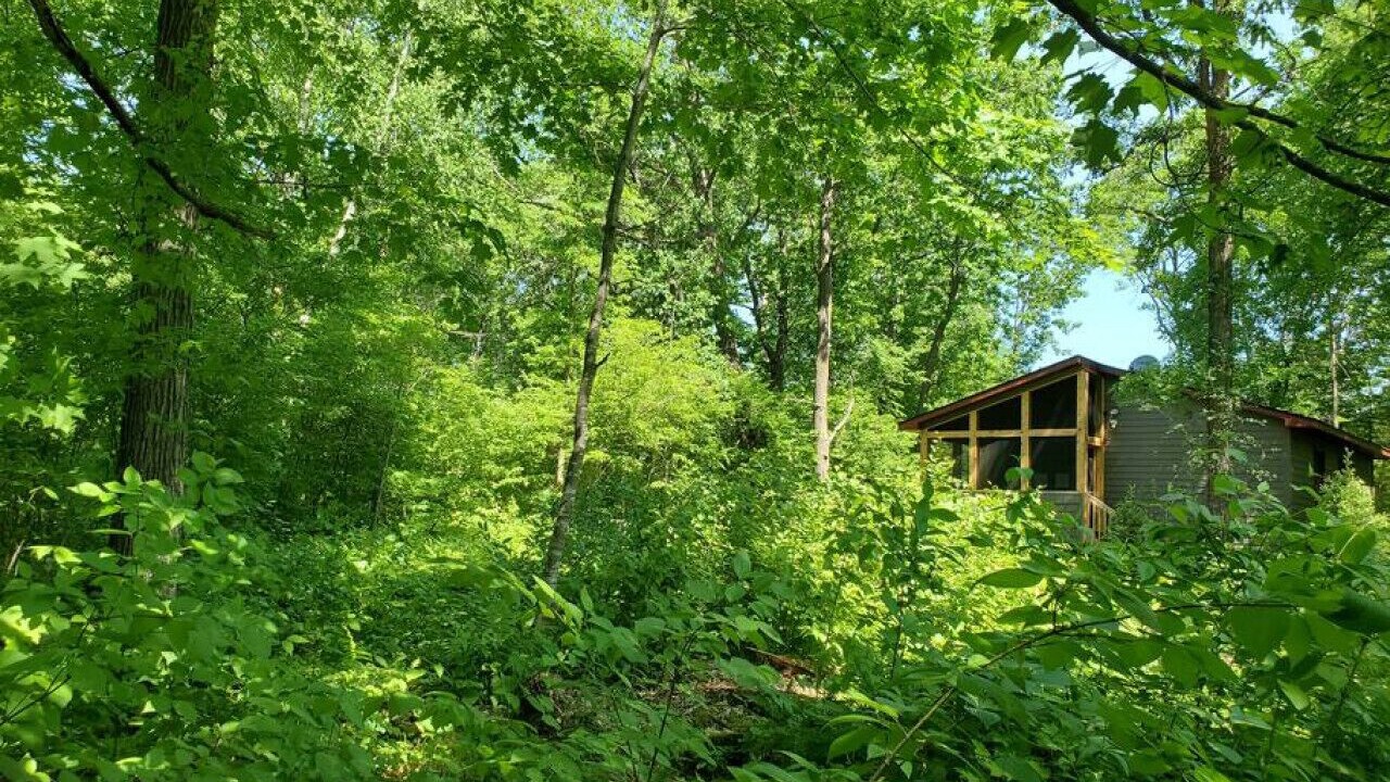 Photo of Outdoor in Pine City