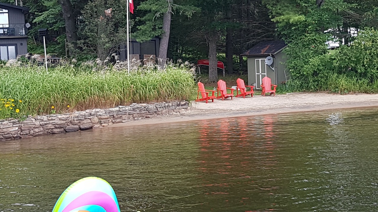 Photo of Outdoor in Algonquin Highlands