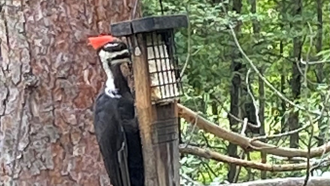 Photo of Outdoor in Emily
