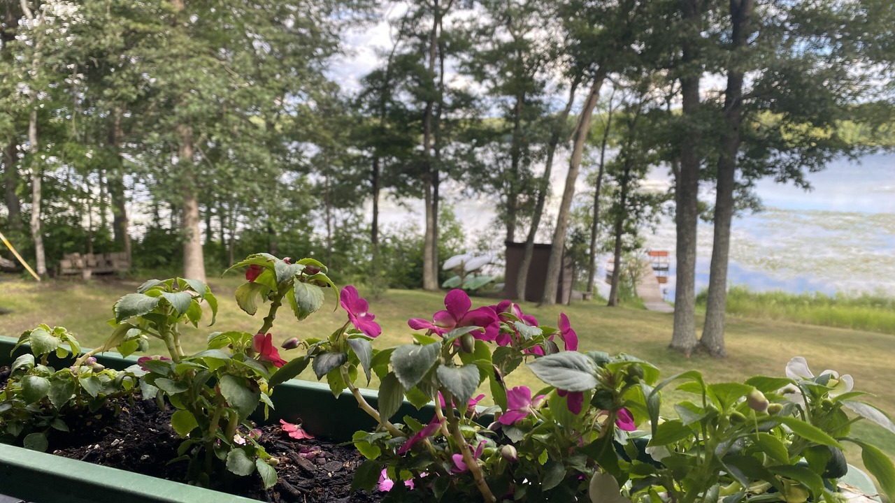 Photo of Outdoor in Emily