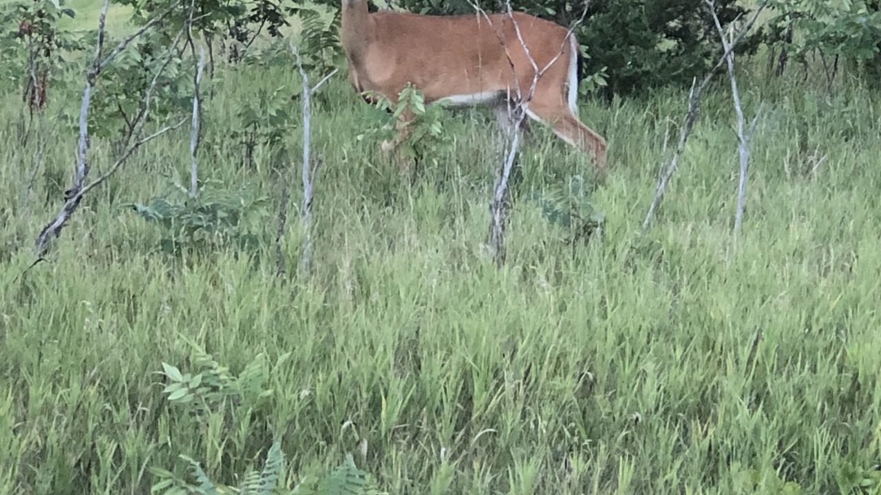 Photo of Outdoor in Barnum
