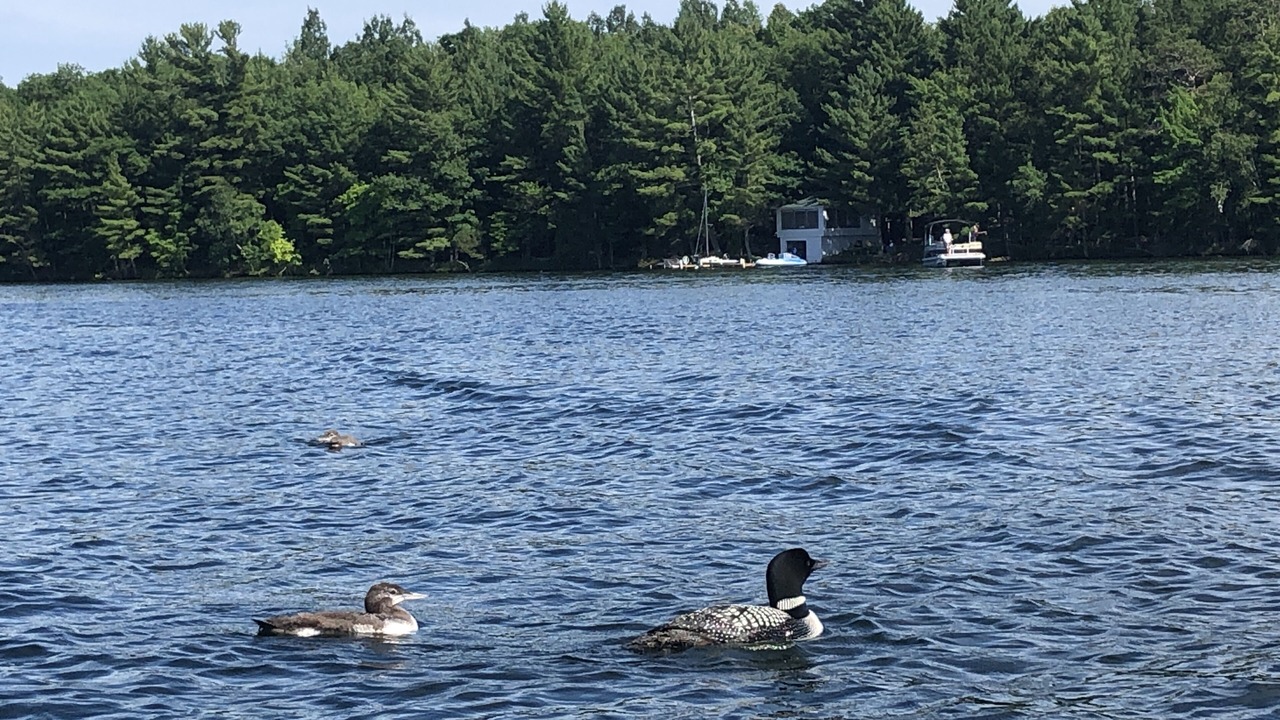 Photo of Outdoor in Bay Lake