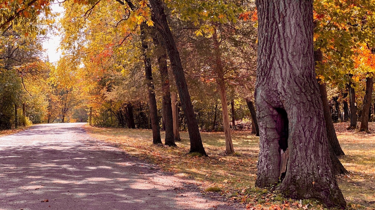 Photo of Others in Saint Paul Park