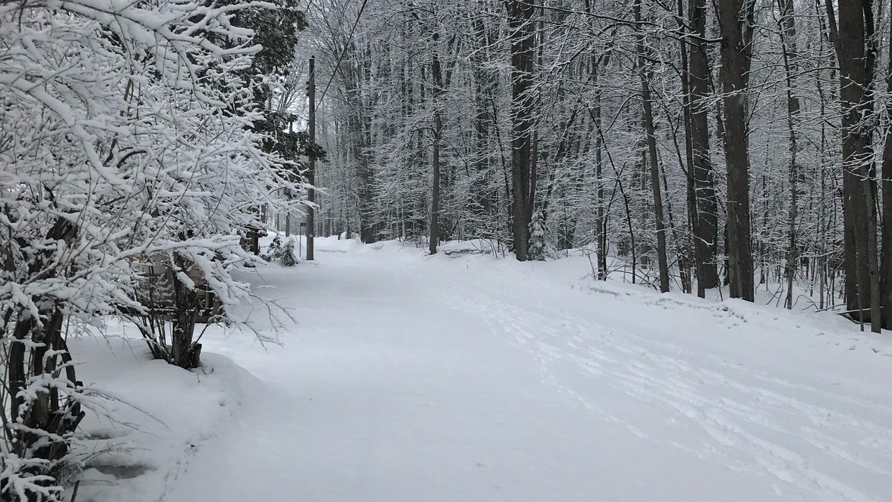 Photo of Outdoor in Whitewater Region