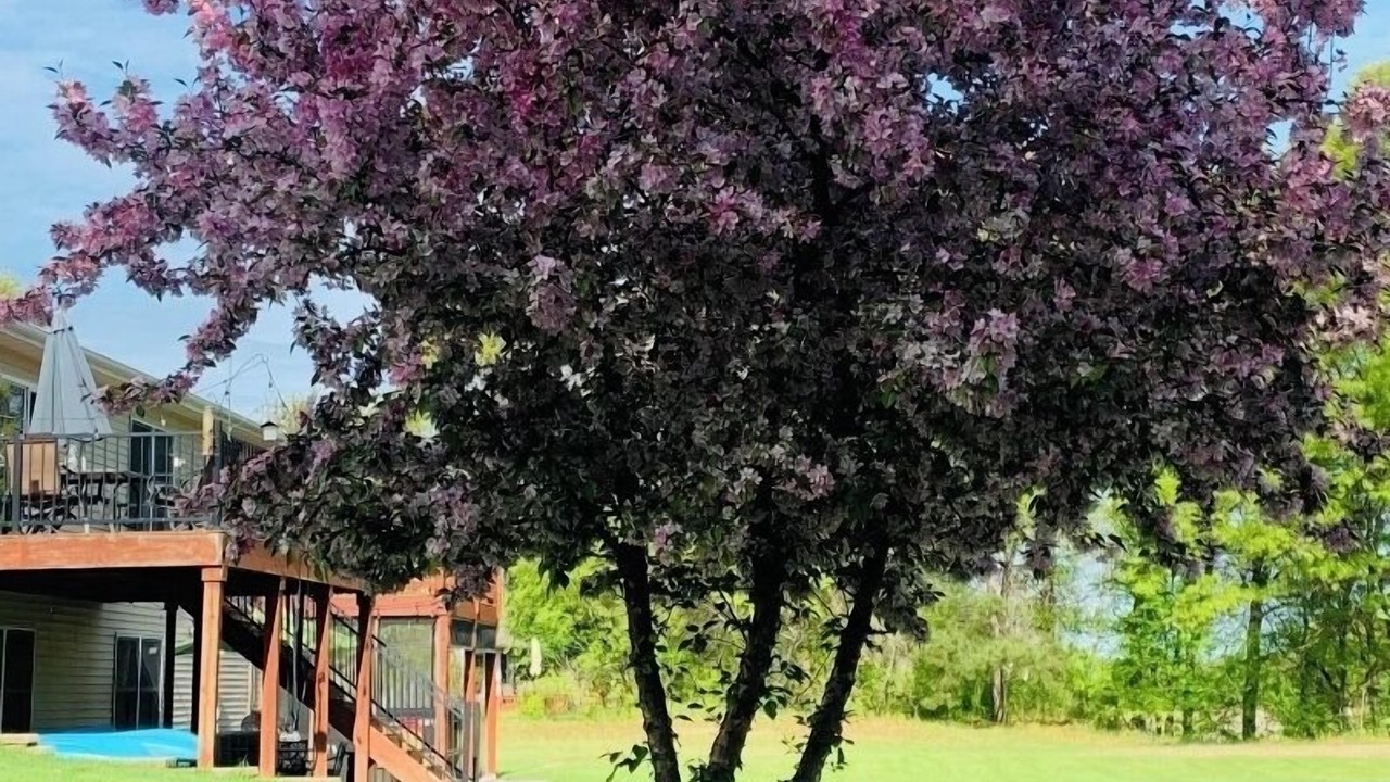 Photo of Outdoor in Ham Lake