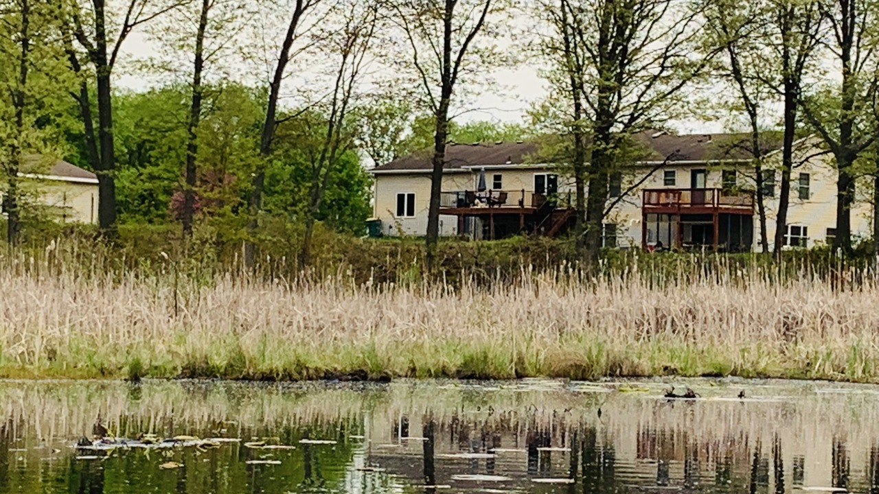 Photo of Outdoor in Ham Lake