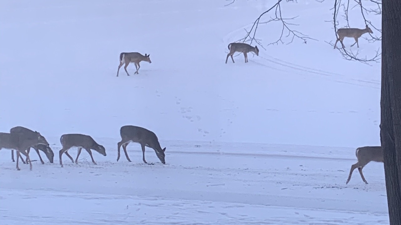 Photo of Others in Rideau Lakes