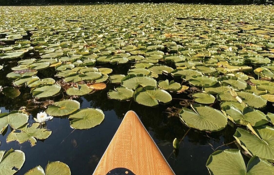 Photo of Others in Duluth