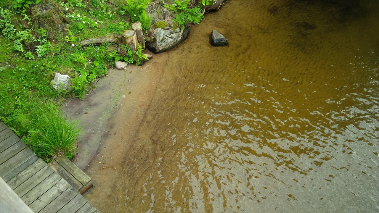Photo of Others in Rosseau