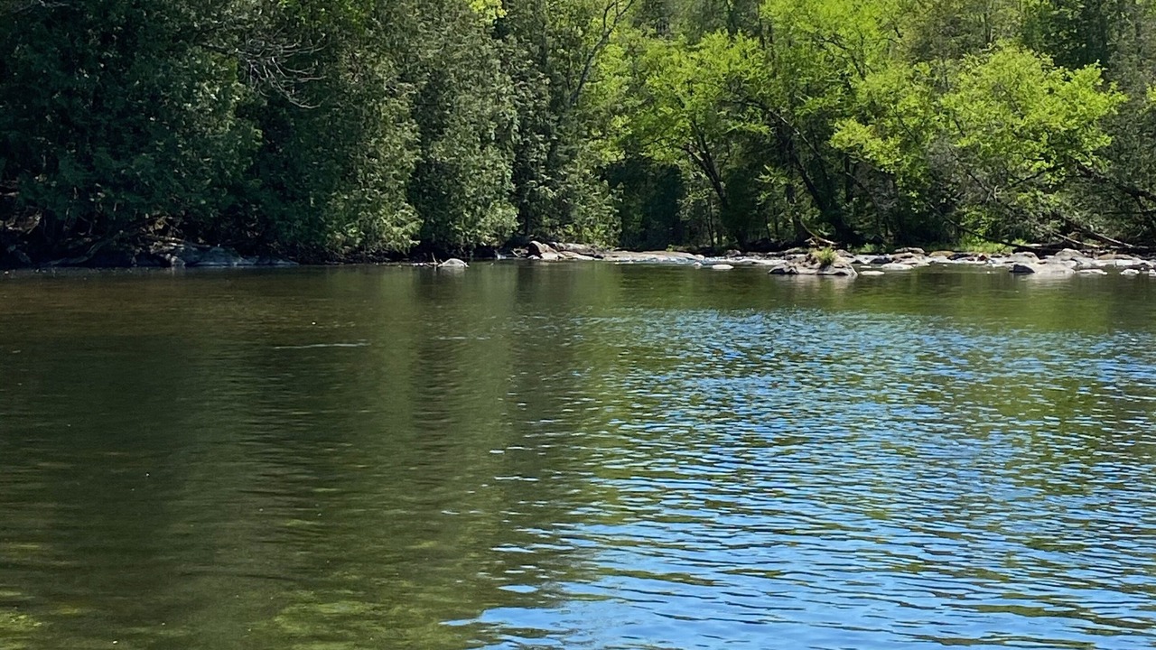 Photo of Outdoor in Minden