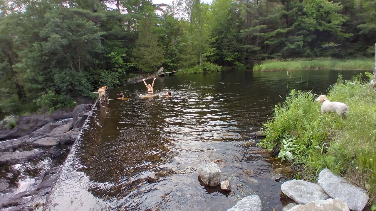 Photo of Outdoor in Addington Highlands