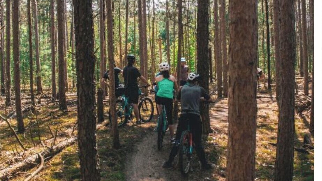 Photo of Others in St. Williams